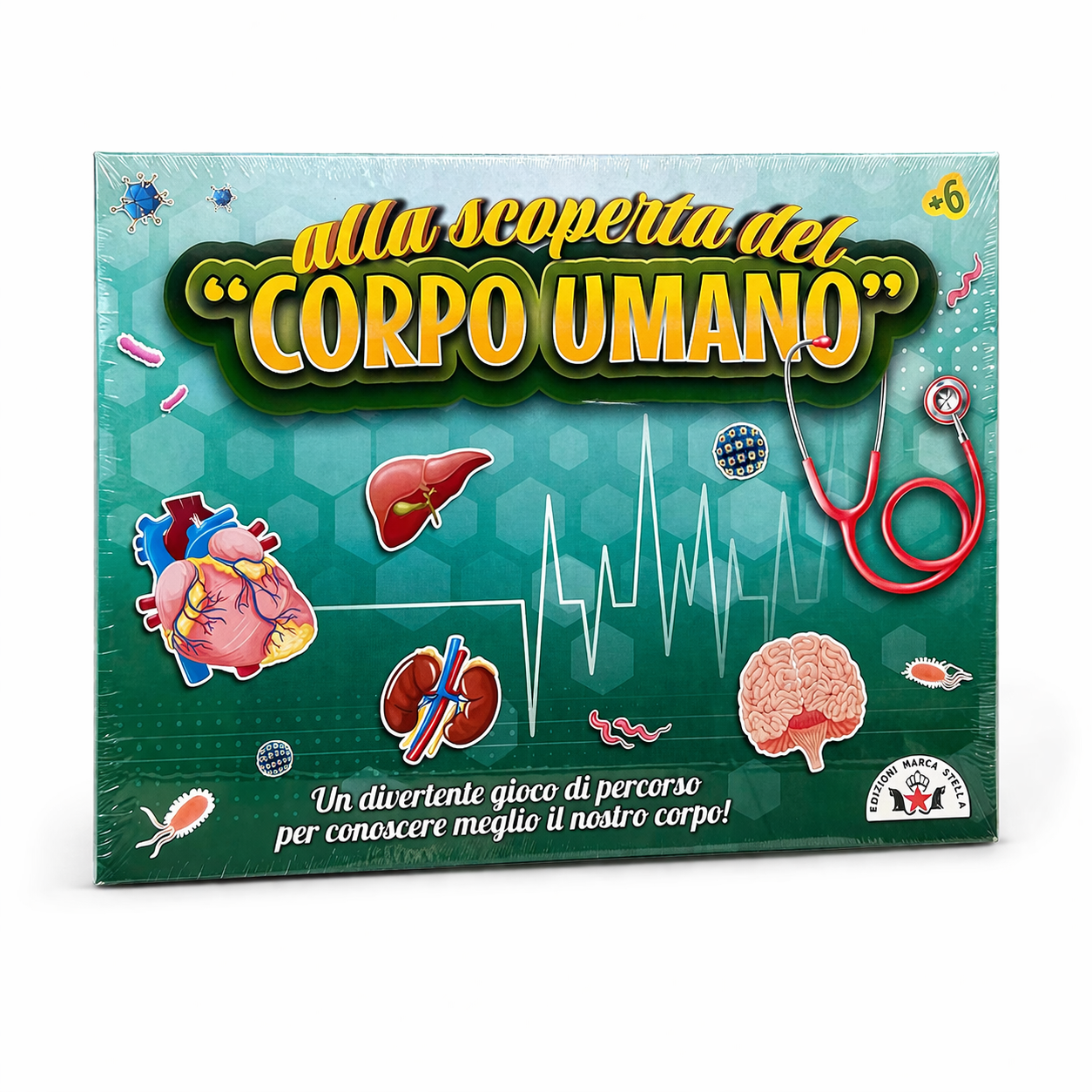 Alla scoperta del Corpo Umano – Gioco educativo per bambini 6+